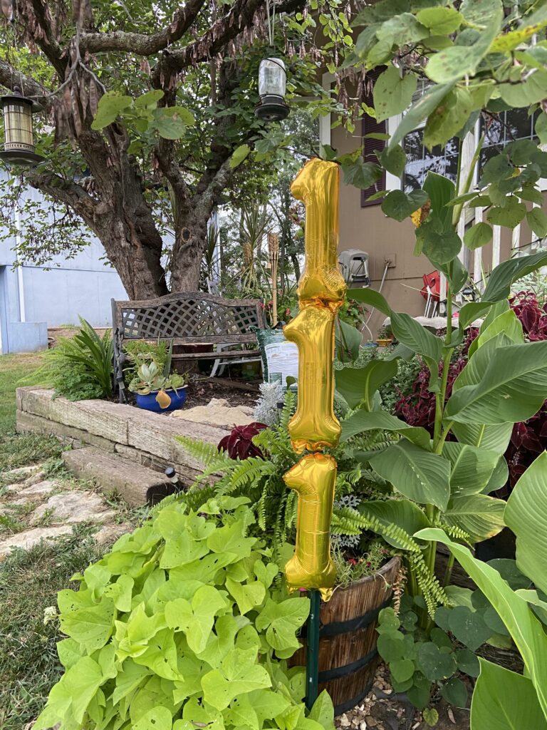 3 gold foil nmber 1s stand as if on a pole. the landscaping in the background includes rock, rr ties, green sweet potato vine, red coleus, a tree, wooden and iron porch bench.