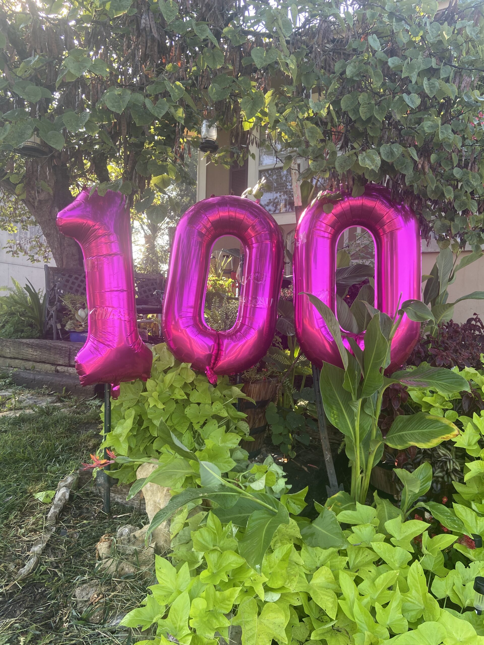 Today Gramma is 100!