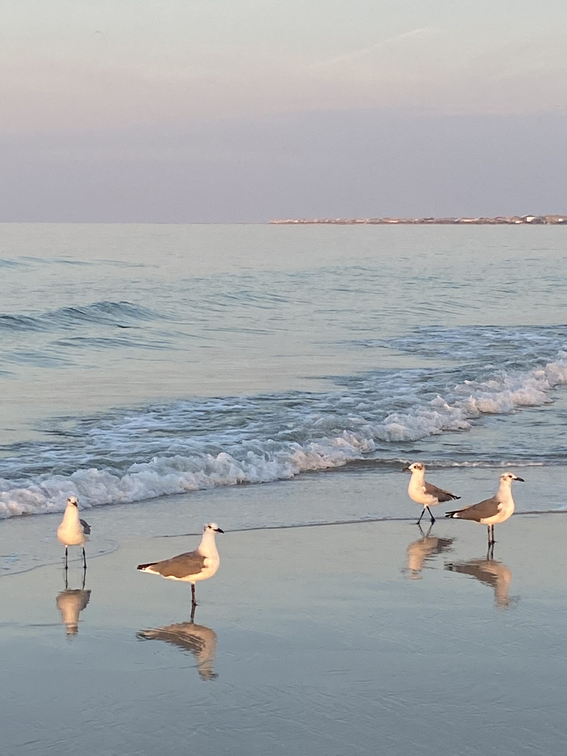 Family Vacation (without 100yo Gramma!)