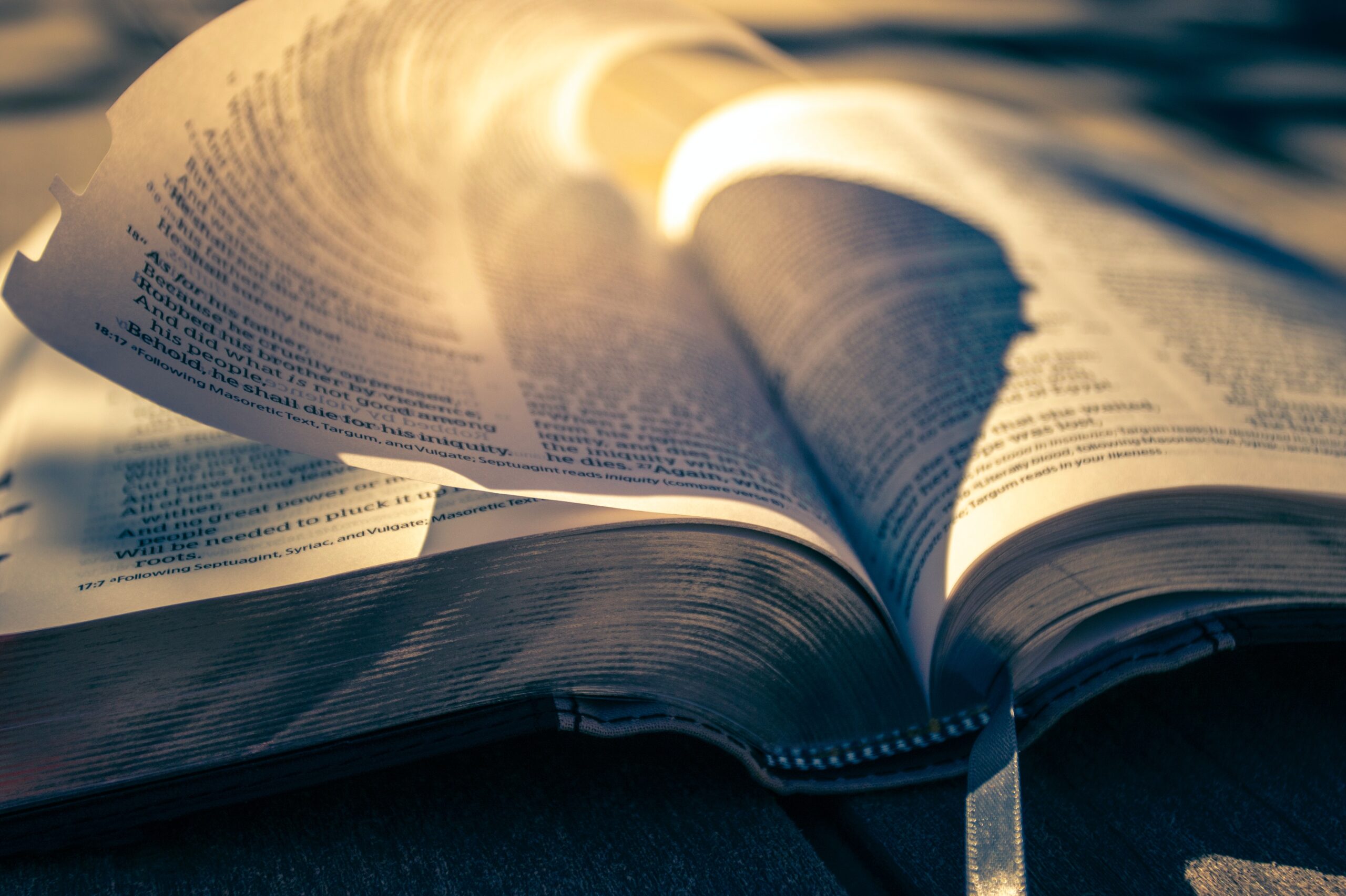 Books of the New Testament (Part 2) Verse Kit