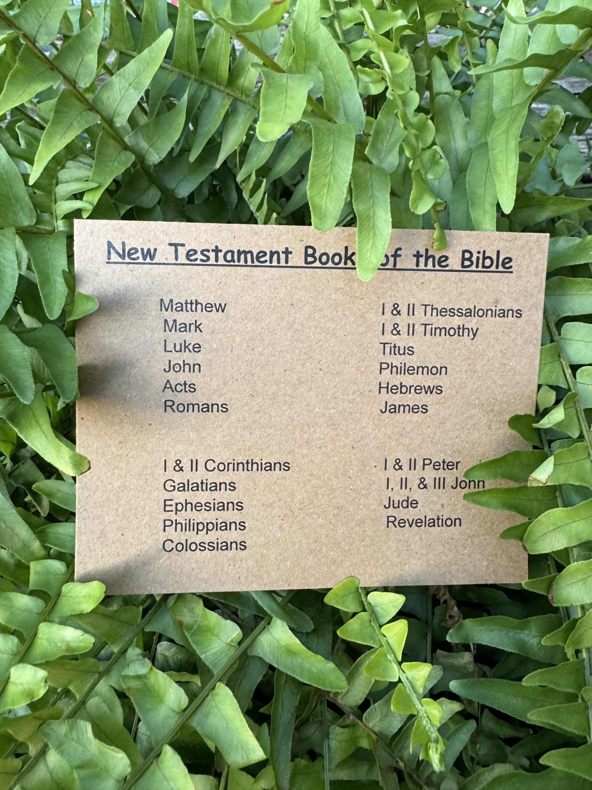 Review New Testament Books Verse Kit