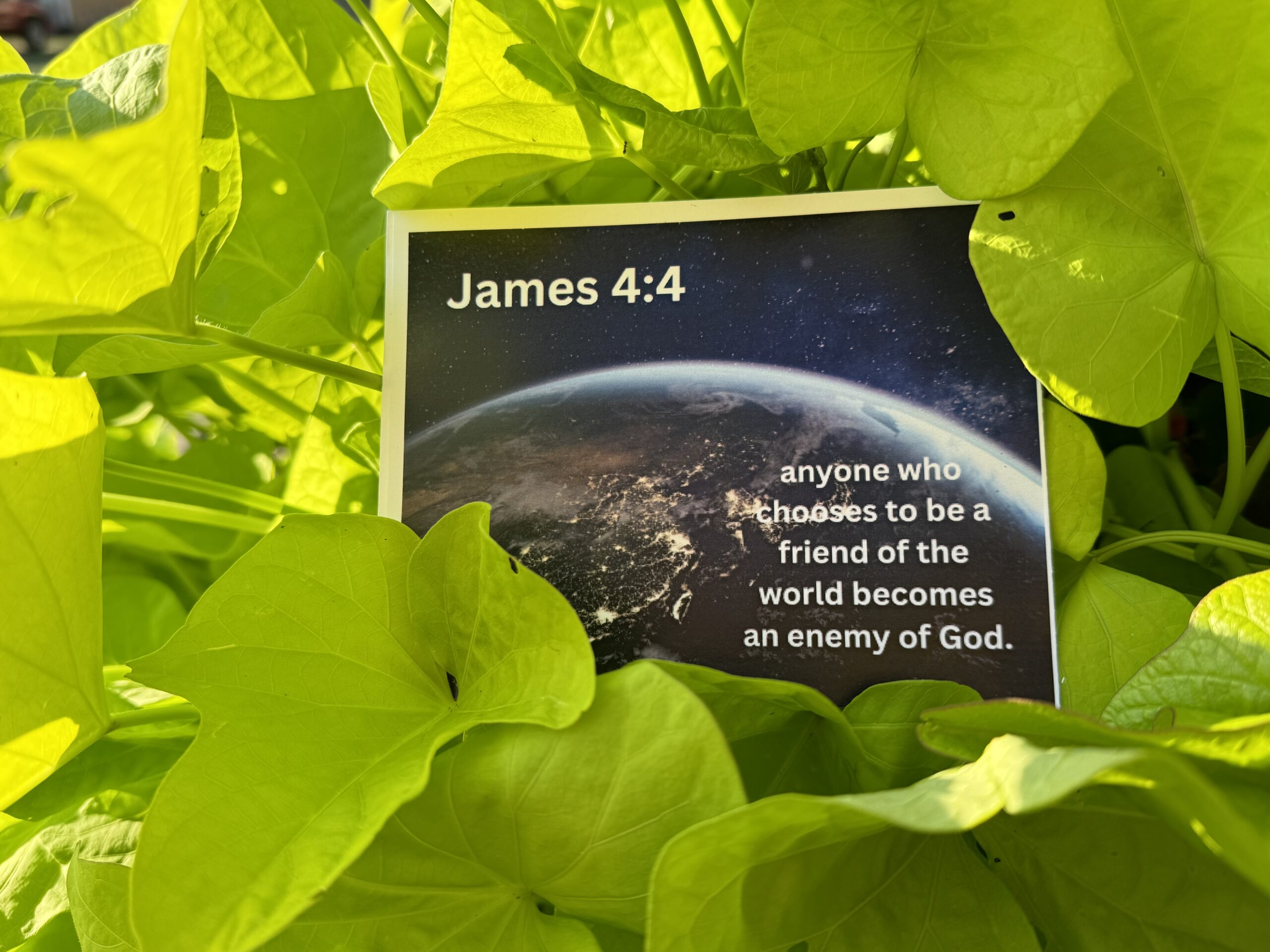 James 4:4 Verse Kit