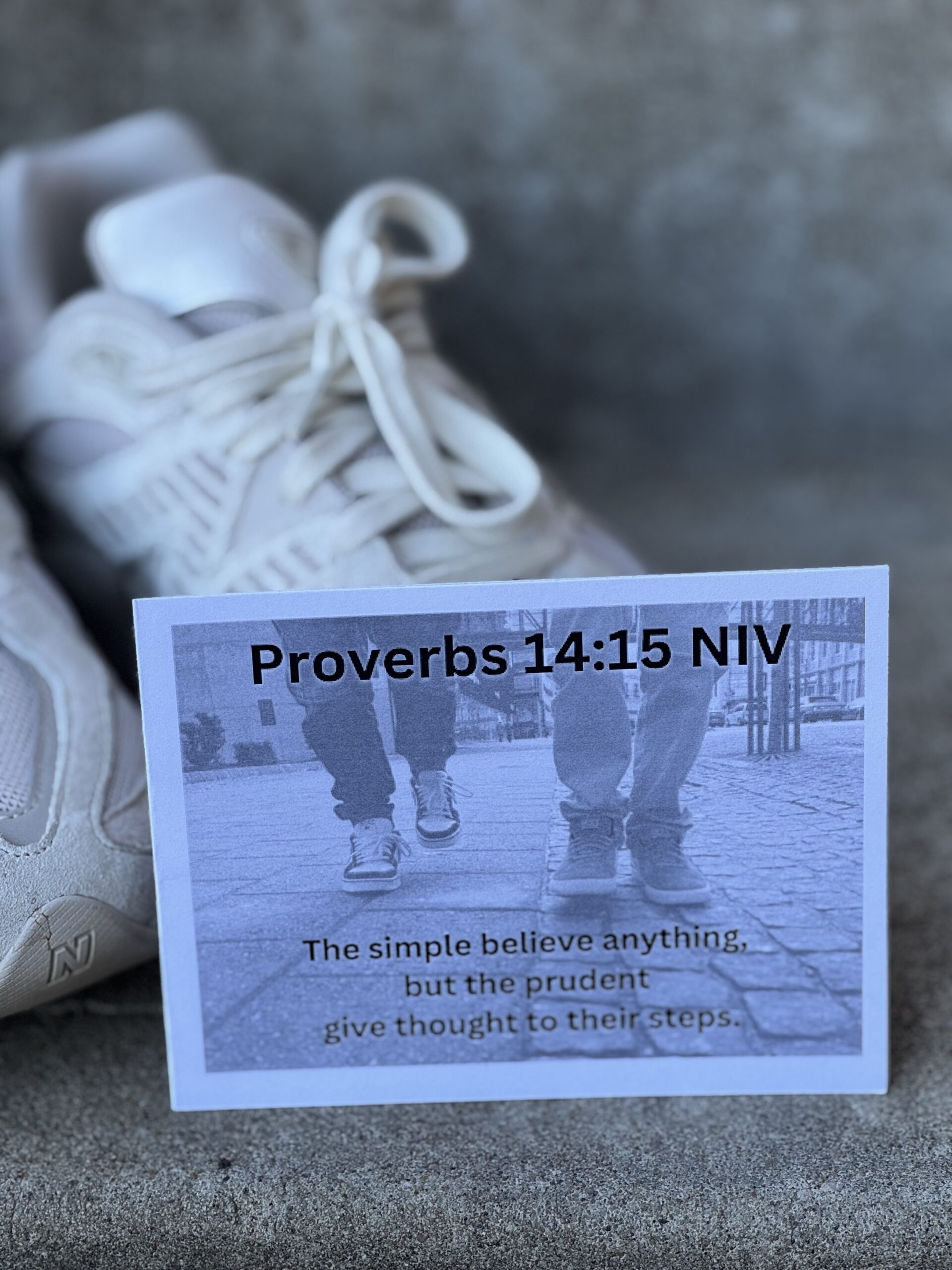 Proverbs 14:15 NIV Verse Kit