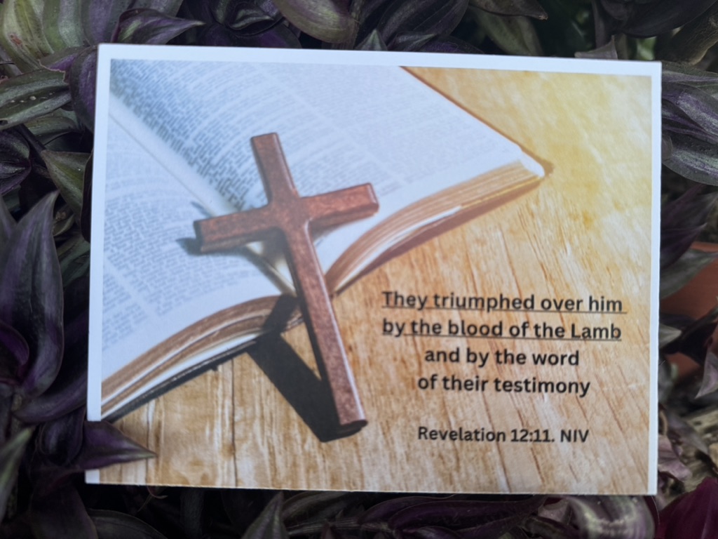 Revelation 12:11 NIV