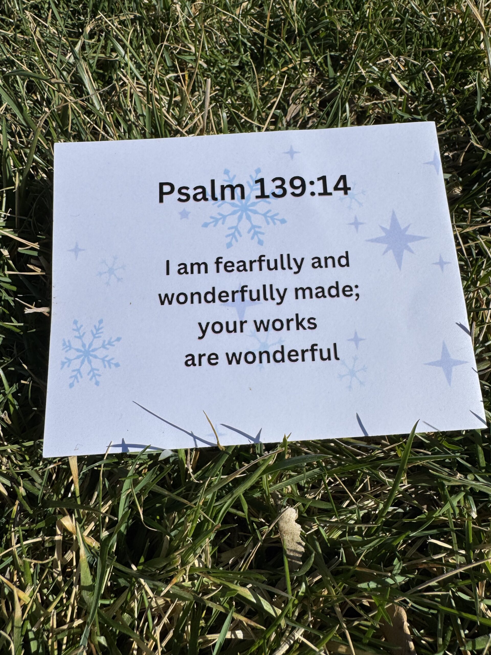Psalm 139:14 NIV